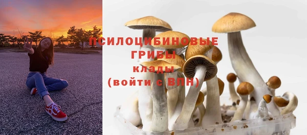 бошки Елизово