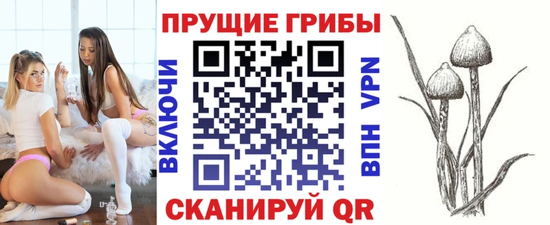 Псилоцибиновые грибы Psilocybe  Купить закладки  Видное 